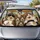 duiyfppz/products/6a4361ad7cd2e3bf35880ddb/gallery/AM_TjbDB0A