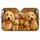 duiyfppz/products/6a4361c26296996f6af241b2/gallery/3oDf5j_PdL