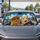 duiyfppz/products/6a436201d489409866090d6b/gallery/TYNRb6AQQ2