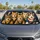 duiyfppz/products/6a436295de145feb594a914c/gallery/rcObsvyhJl
