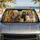 duiyfppz/products/6a4363d0a2de6c39dfb4bf9e/gallery/F5g6ZYz_mp