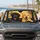 duiyfppz/products/6a4366661e29dc307b5bab29/gallery/KcPhfR8Y3d