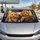 duiyfppz/products/6a43676d33a73a46cc8ea31f/gallery/QLpMjv93x4