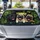 duiyfppz/products/6a4367991e29dc28b05badcf/gallery/LXy8InQTK9
