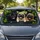 duiyfppz/products/6a4367991e29dc28b05badcf/gallery/VGeYMRu-gP