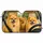 duiyfppz/products/6a436917a2de6c2990b4c9a9/gallery/vGKGX0pkfY