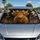 duiyfppz/products/6a4369a4f4c8c18835a8fd06/gallery/YvpON-mFI-