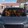 duiyfppz/products/6a436bed6296994443f25c9e/gallery/D5byQg1vcN