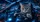 duiyfppz/products/6a436e4cdf70213a144ab014/gallery/R_NlhhLfLj