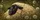 duiyfppz/products/6a4371ad33a73a814e8eb82e/gallery/WIN2tgqnqV