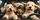duiyfppz/products/6a43724833a73aec938ebc7a/gallery/qBt09CLea_