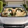 duiyfppz/products/6a4373c8a2de6c61a9b4ea8f/gallery/UXpZPGD5zM