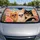 duiyfppz/products/6a43853e33a73ae82b8ecce6/gallery/EZQ--4Q3Uw