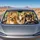 duiyfppz/products/6a4387d6df7021c4e54ace11/gallery/fYl1baOm1-