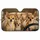 duiyfppz/products/6a438877df70216fc44ace9a/gallery/DUg5ky5VhG
