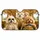 duiyfppz/products/6a4393fcd489405504094d41/gallery/D7JVH3v4OM