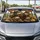 duiyfppz/products/6a439e85f4c8c16412a933b7/gallery/51EgF4pYzA