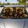 duiyfppz/products/6a439eb2f4c8c106a0a933f0/gallery/v61iTRe7L1