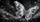duiyfppz/products/6a447432de145f1c014b2793/gallery/7hoX490jXO