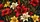 duiyfppz/products/6a44762437ae138ae28a64dd/gallery/_DQAzLw2tG