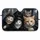 duiyfppz/products/6a4477227cd2e353ef88a810/gallery/VF5TX6aJMX