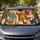 duiyfppz/products/6a447941df7021649e4b331d/gallery/6b9dDUypEW