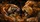 duiyfppz/products/6a447a7cde145f9ade4b2b32/gallery/j-SFcyjmQx