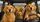 duiyfppz/products/6a447aba37ae138ff28a68ac/gallery/TVoH9KU8ZZ