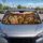 duiyfppz/products/6a447b27df702102994b3564/gallery/c_98UlOMnE