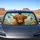 duiyfppz/products/6a447cbbdf70218d6c4b3990/gallery/ez_utnzXgP
