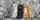 duiyfppz/products/6a447d255282e7e6ee2575a2/gallery/ajn_DuslEH
