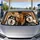 duiyfppz/products/6a447fcfd48940583009b20b/gallery/D4kdgXQ1zE