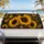 duiyfppz/products/6a44823a9fe39835b5c55e45/gallery/bIMx_47EUz