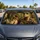 duiyfppz/products/6a4482e0d48940aead09b4bf/gallery/UucUNrgfL9