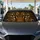 duiyfppz/products/6a44849d7cd2e38b3f88b3a3/gallery/KwjG-DsjxV