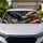 duiyfppz/products/6a4484c47cd2e3157688b3e8/gallery/SwXocm7VW8