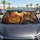 duiyfppz/products/6a4486805282e7d720257c03/gallery/KPfNOD_YWP