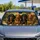 duiyfppz/products/6a4486bddf702108f94b4207/gallery/-ZrFvLJqQA
