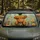 duiyfppz/products/6a448774c12ecbb70693a4b1/gallery/F_5-vzAfSg
