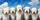 duiyfppz/products/6a44890d1e29dc33b35c3d24/gallery/pA9UyOvjqY