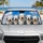 duiyfppz/products/6a44890d1e29dc33b35c3d24/gallery/wauvxMc0wt