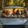 duiyfppz/products/6a448bc35282e702c3258069/gallery/zumazBe84m