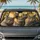 duiyfppz/products/6a448d4dde145f136e4b3eaf/gallery/eP6Gh2nh87