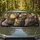 duiyfppz/products/6a448d4dde145f136e4b3eaf/gallery/zTbGwd8r_E
