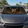 duiyfppz/products/6a44d6bbdf70212e924b9b04/gallery/01nr9t1pFn