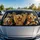 duiyfppz/products/6a44d6d1df702137e94b9b2e/gallery/uumJU3RHRh