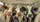 duiyfppz/products/6a44dc739fe3981428c5d02c/gallery/BMehFpl7ng
