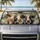 duiyfppz/products/6a44dc739fe3981428c5d02c/gallery/WTKd2o4pap