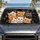 duiyfppz/products/6a44dccb62969937b6f34d4e/gallery/ankaIEr5mz