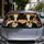 duiyfppz/products/6a44e0ebdf70210d474ba710/gallery/aeLWhy14TU